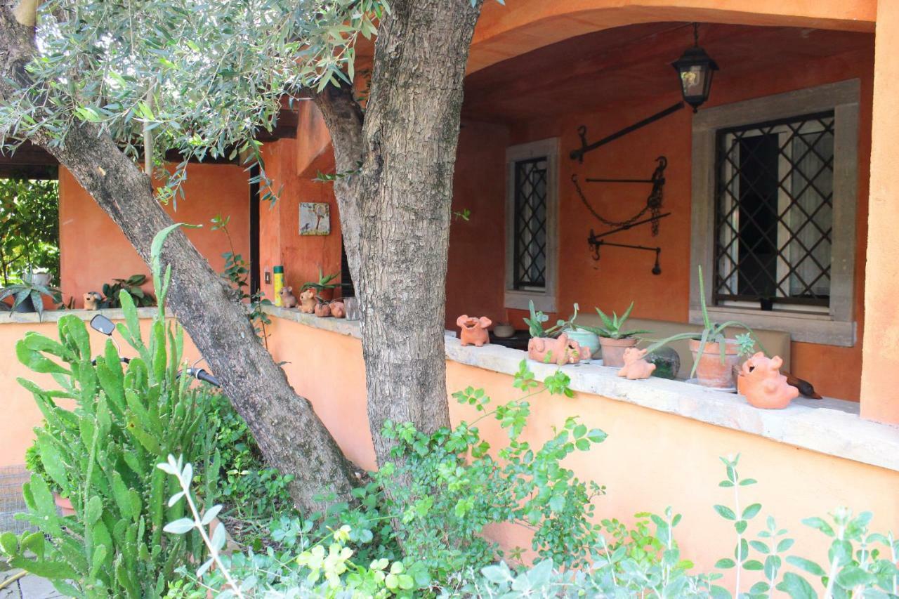 B&B Country Lemon Santa Marta Exterior photo
