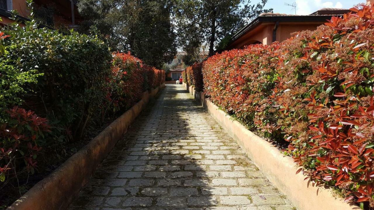 B&B Country Lemon Santa Marta Exterior photo